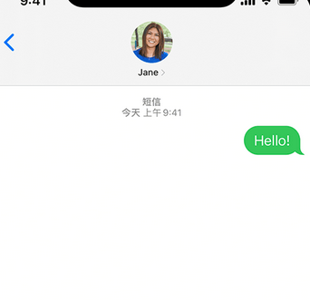 新洲apple维修iPhone上无法正常发送iMessage信息