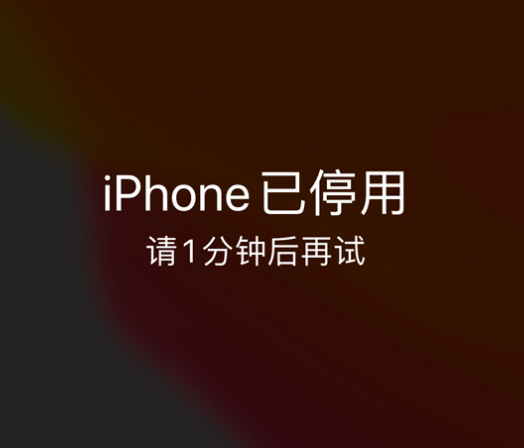 新洲苹果手机维修分享:iPhone 显示“不可用”或“已停用”怎么办？还能保留数据吗？ 