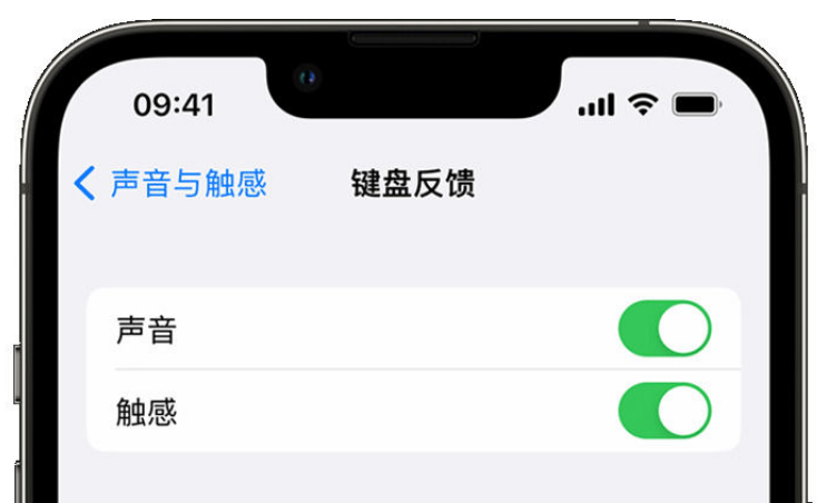 新洲苹果手机维修分享iPhone 14触感键盘使用方法 