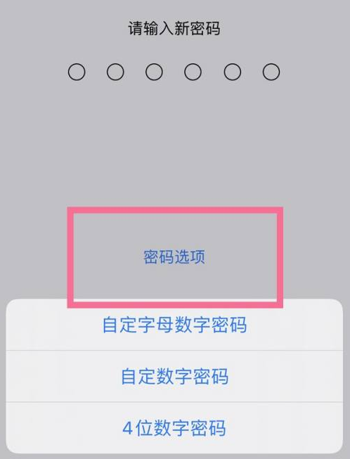 新洲苹果14维修分享iPhone 14plus设置密码的方法 