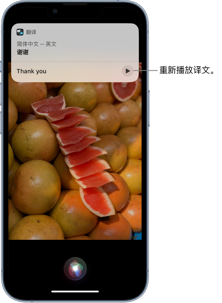 新洲苹果14维修分享 iPhone 14 机型中使用 Siri：了解 Siri 能帮你做什么 