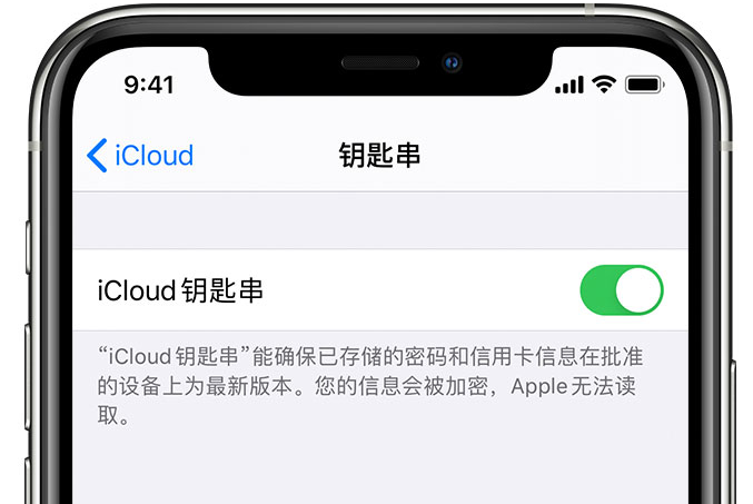 新洲苹果手机维修分享在 iPhone 上开启 iCloud 钥匙串之后会储存哪些信息 