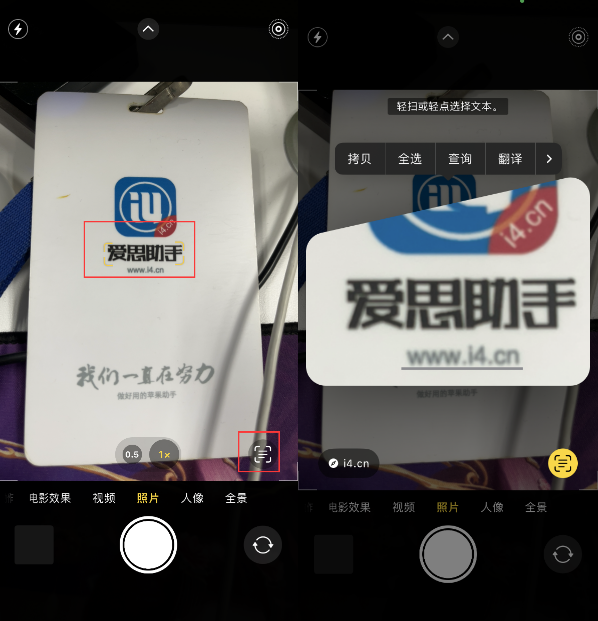 新洲苹果手机维修分享升级iOS 16后如何通过相机翻译文本 