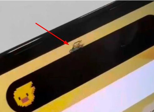 新洲苹果14维修分享iPhone 14 Pro Max灵动岛怎么养宠物 