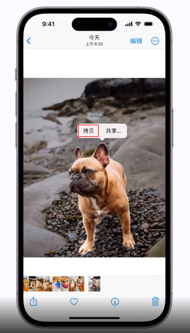 新洲 苹果手机维修分享iOS 16 “照片”应用更新内容与改进汇总 