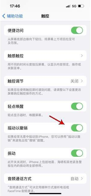 新洲苹果手机维修分享iPhone手机如何设置摇一摇删除文字 