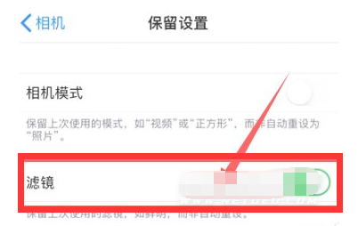 新洲苹果13维修分享iPhone13拍照有绿点是怎么回事 