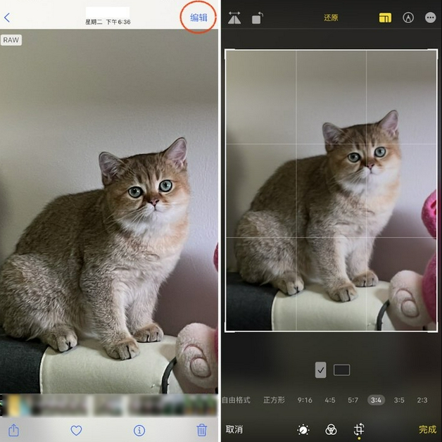 新洲苹果手机维修分享苹果 iPhone 12 Pro 拍照会过度锐化 