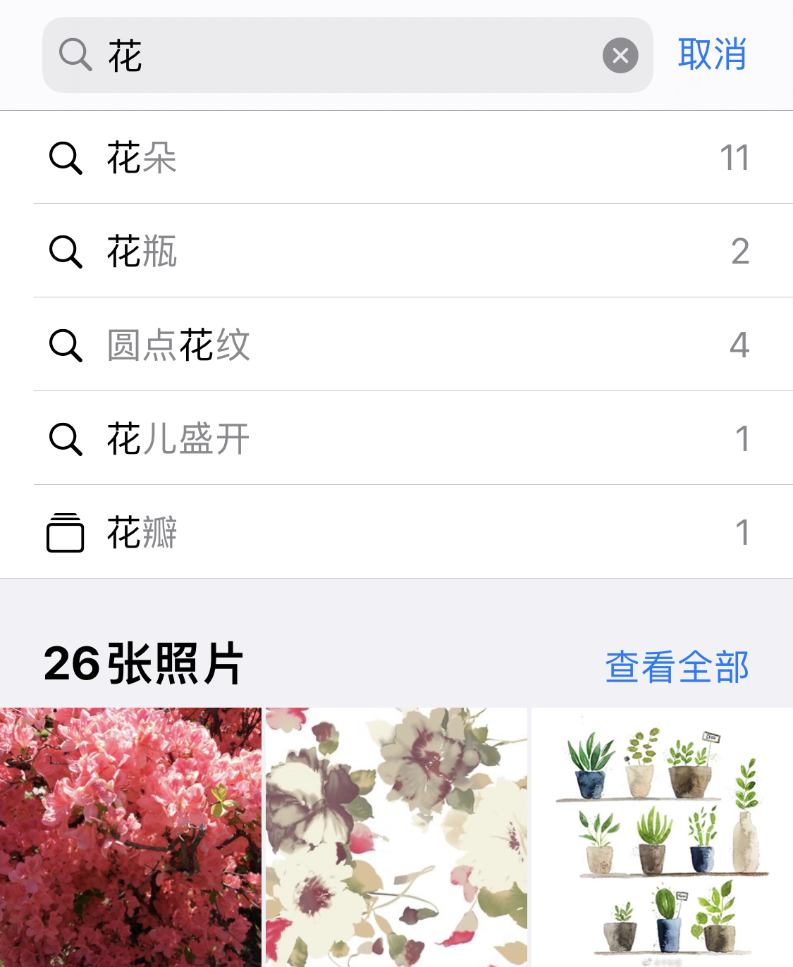新洲苹果手机维修分享iPhone 小技巧 