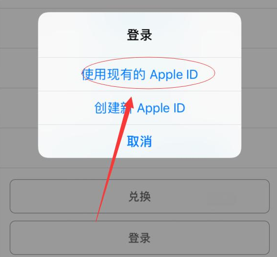 新洲苹果手机维修分享两台iPhone设备可以同时登录一个Apple ID吗 