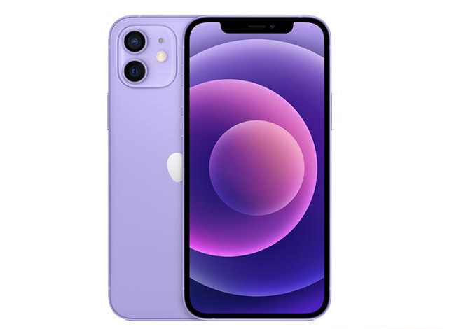 新洲苹果手机维修分享现阶段要不要入手紫色版iPhone12 