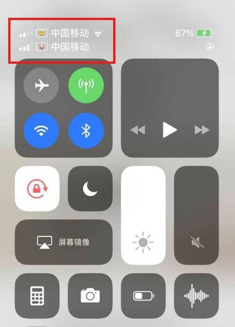 新洲苹果手机维修分享为 iPhone 12 双卡设置标签 