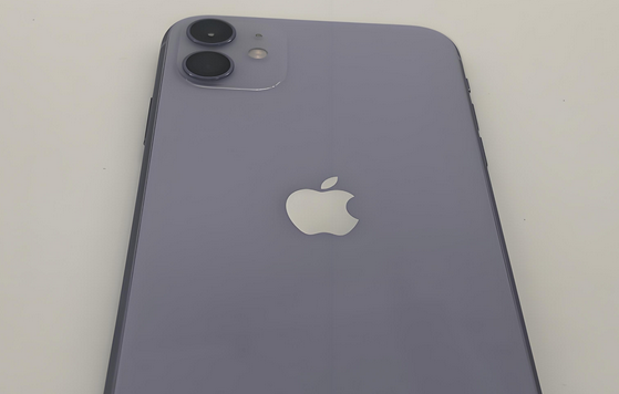 新洲苹果11系统维修分享iPhone11手机系统崩溃无法开机如何解决 