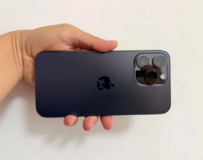 新洲苹果维修点分享iPhone 14 Pro Max发烫多重诱因剖析 